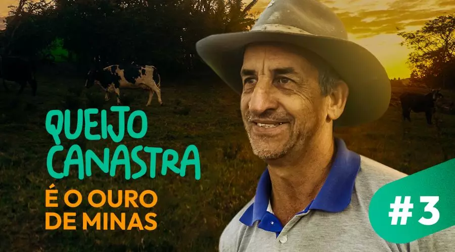 Queijo canastra é protagonista do novo episódio de minidocumentário da Embratur